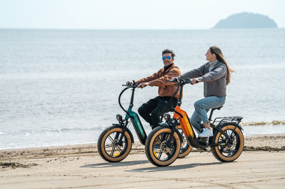 X3 Step-thru Fat Tire